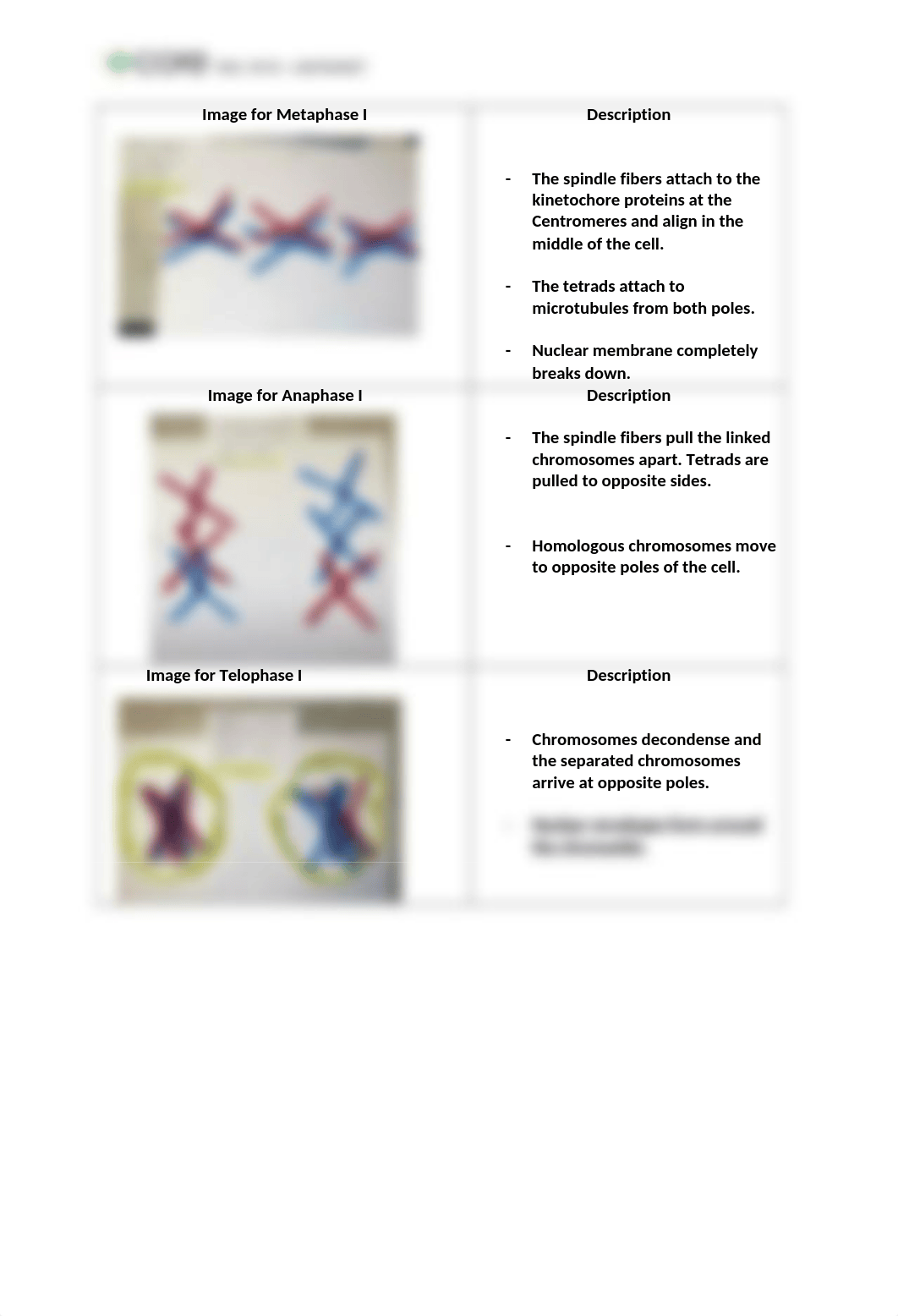 Unit 7 Lab Final Report (1)RD.docx_dpzxrdqi3uq_page2