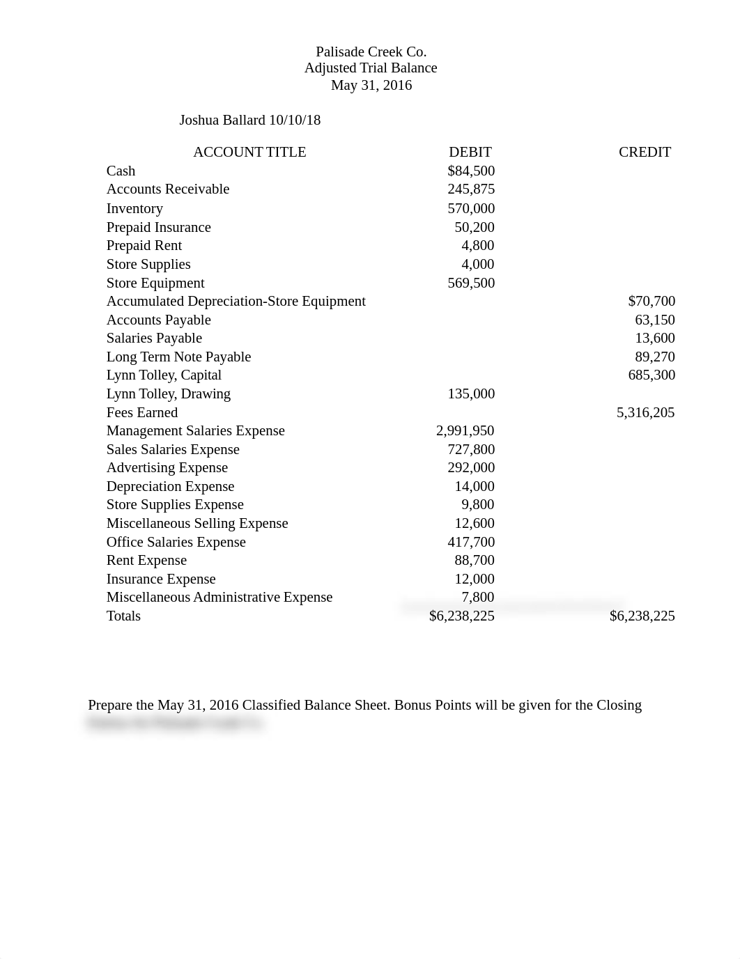 Trial Bal for classified and bonus for take home exam 1 JB.docx_dq02bjnk3zg_page1