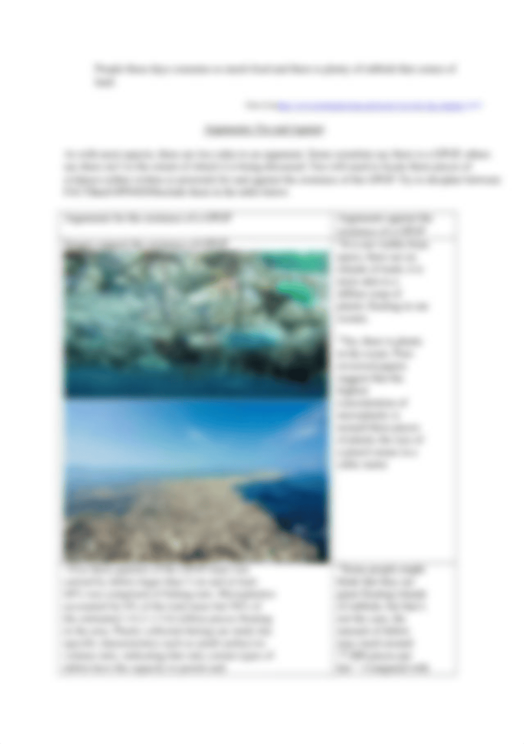 The Great Pacific Garbage Patch [2].docx_dq08odmeibb_page2