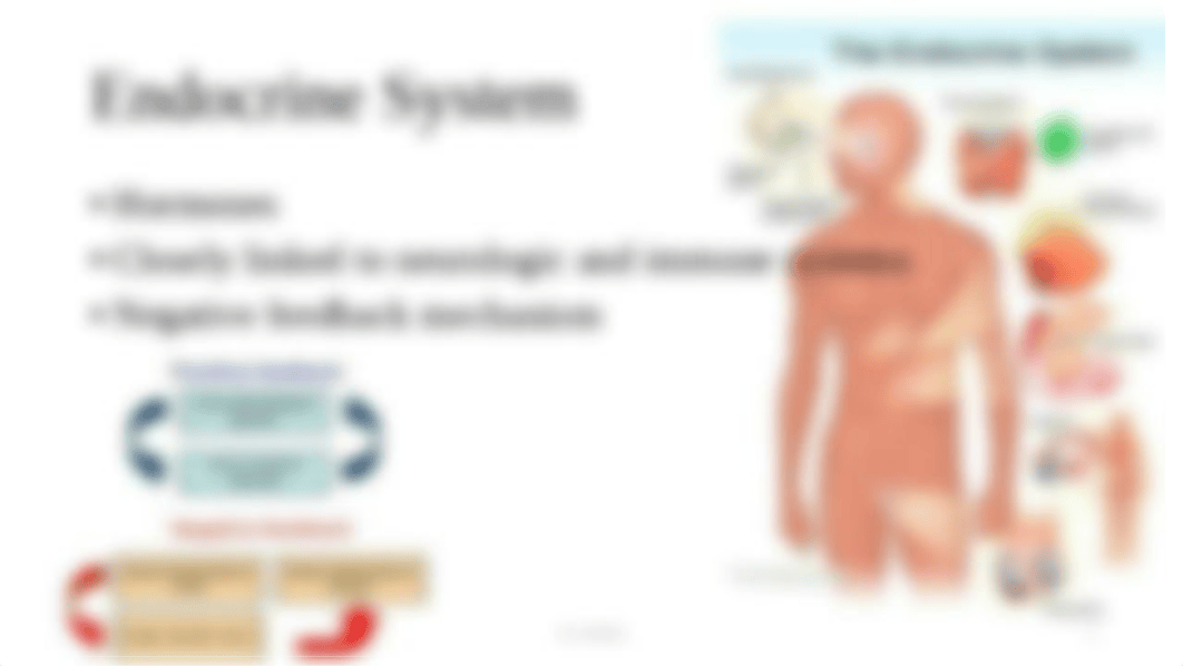 Assessment and Management of Patients With Endocrine Disorders (3)-2.pptx_dq0cbmgbncc_page2