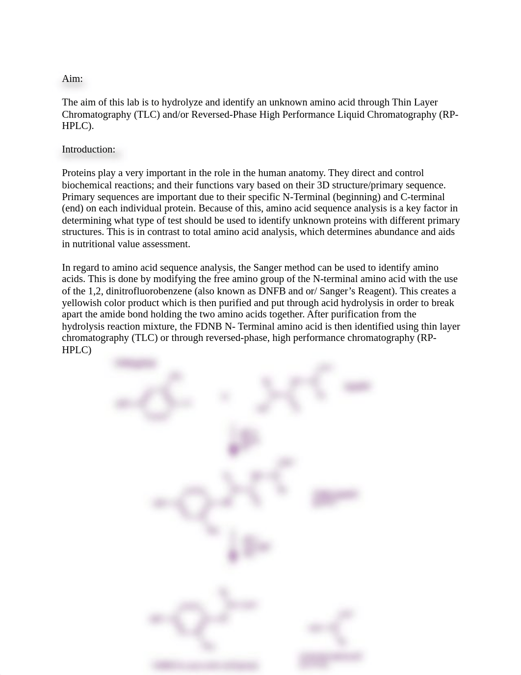 Determination of the N.pdf_dq0cpor3l4m_page2