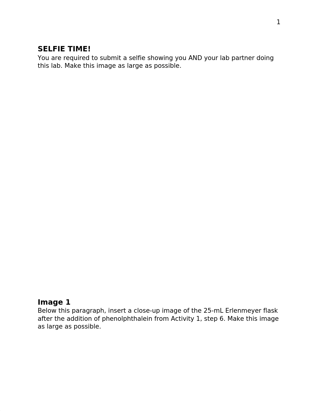 L9 Determination of Acetic Acid Concentration Lab Report Template.docx_dq0fwxdrpq1_page3