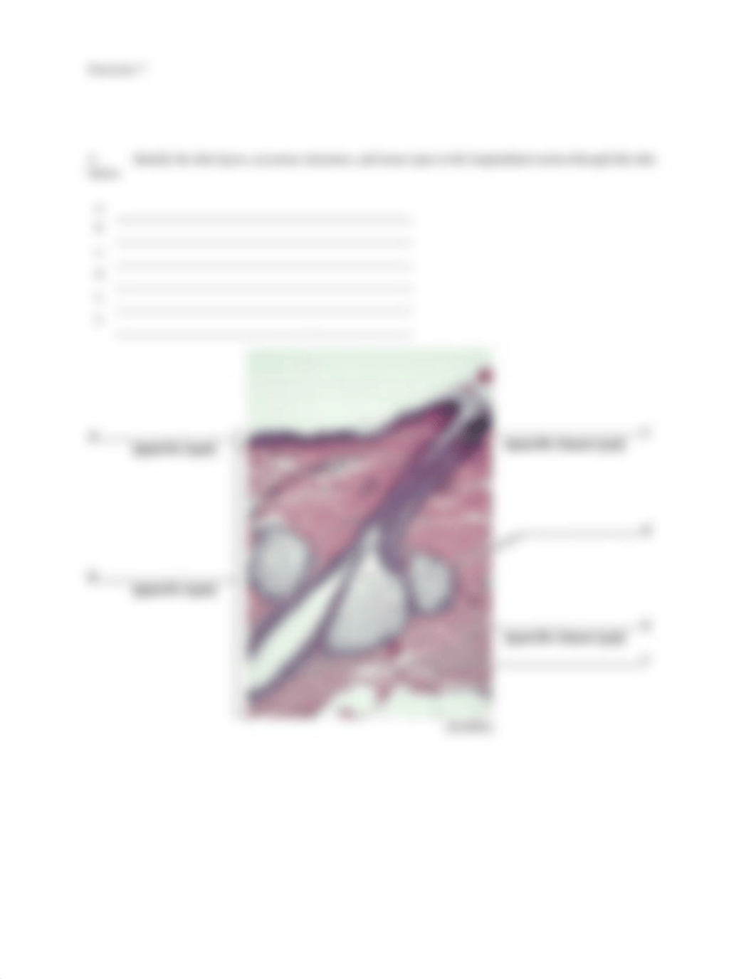 4. Unit 4 laboratory exercise 7 EDIT.pdf_dq0iengxaiw_page4