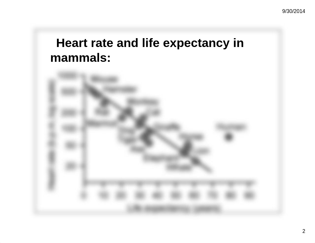 The Heart Test 1_dq0isph48ny_page2