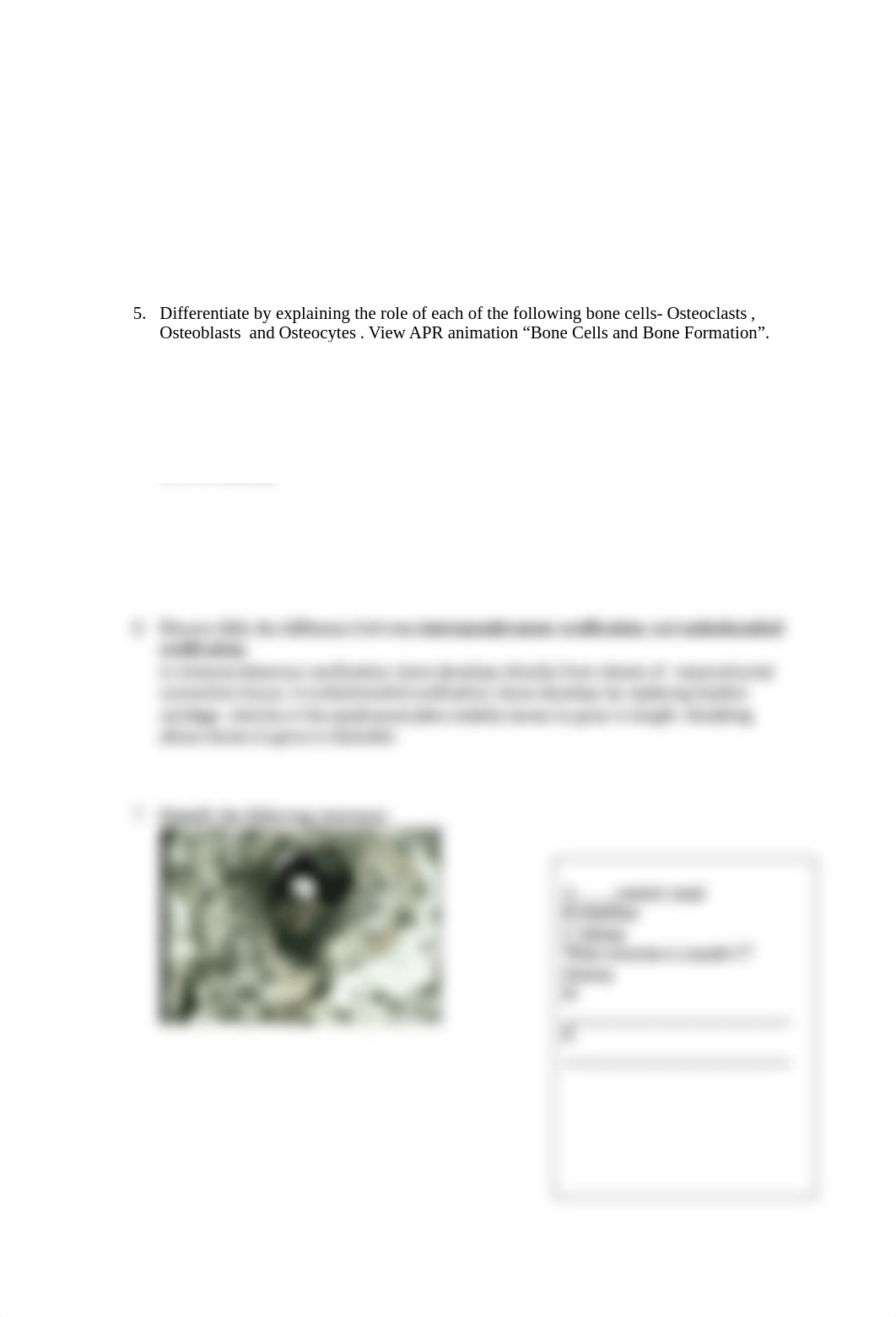 Lab 4- Updated Skeletal System.pdf_dq0m85pw1qs_page2