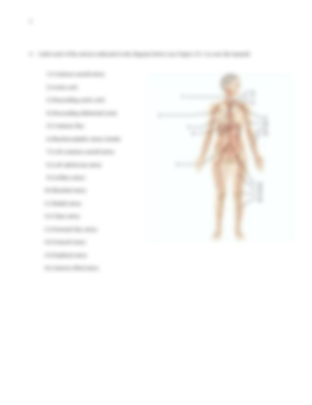 Bio lab Blood Vessels .docx_dq0yhmhndic_page2