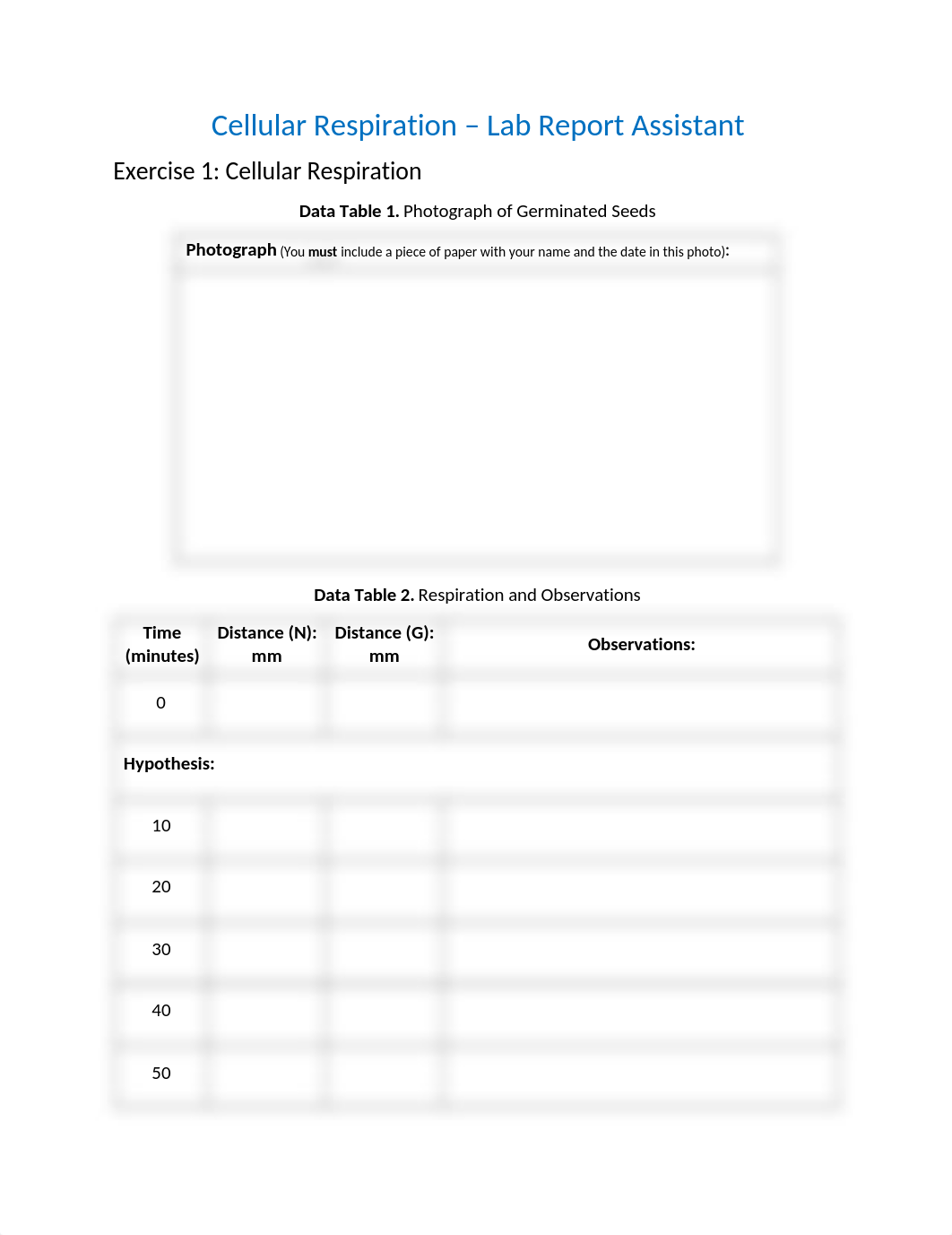 Cellular Respiration_RPT(1).docx_dq13qgq9i0b_page1