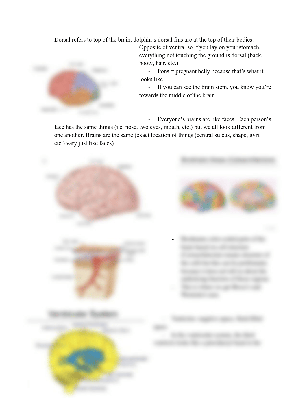 CD 680 Neurological Bases copy.pdf_dq1algxfff8_page1