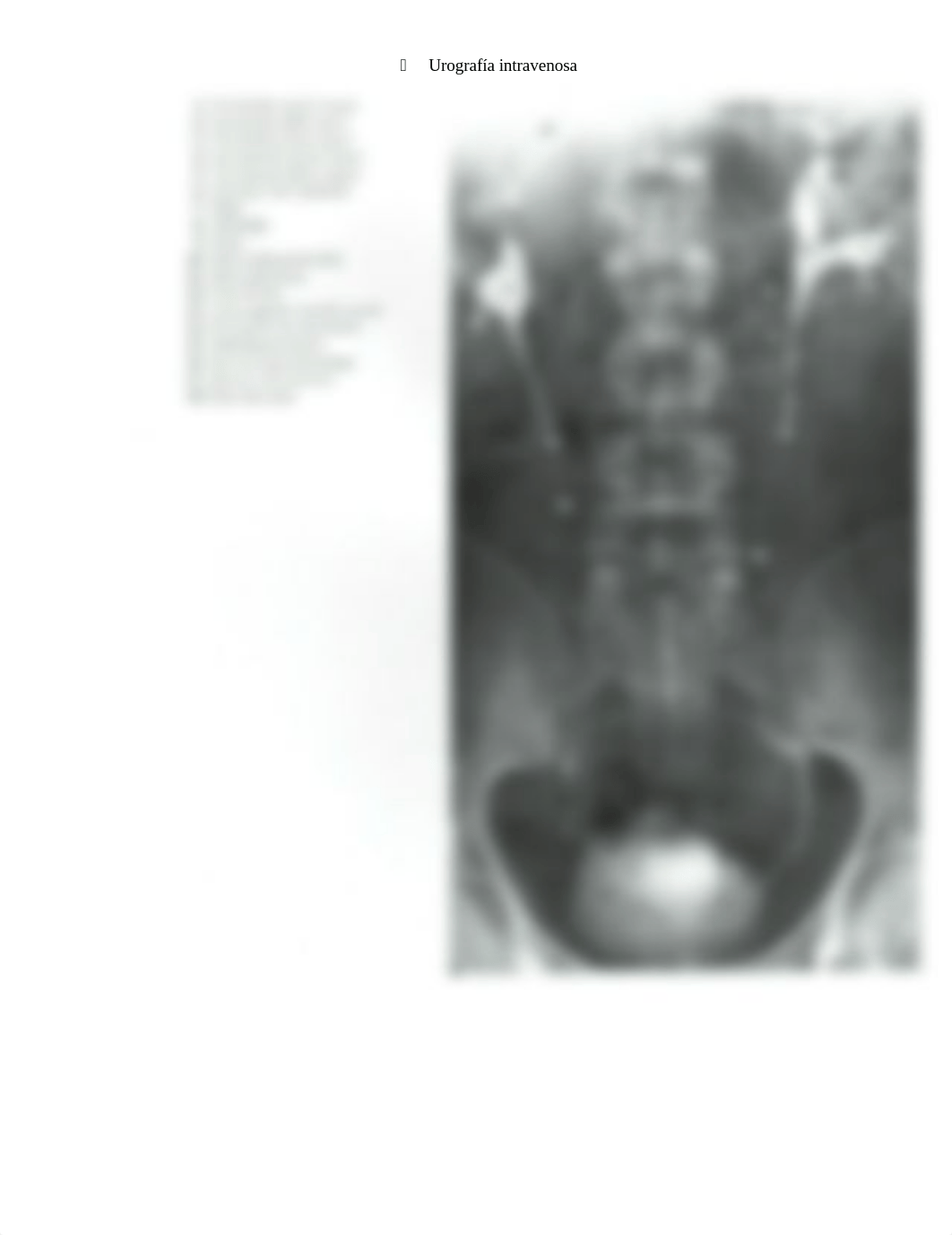 IMAGENES PARA EXAMEN PARCIAL #4 (abdomen) Anatomia Seccional.docx_dq1eulb17fh_page4