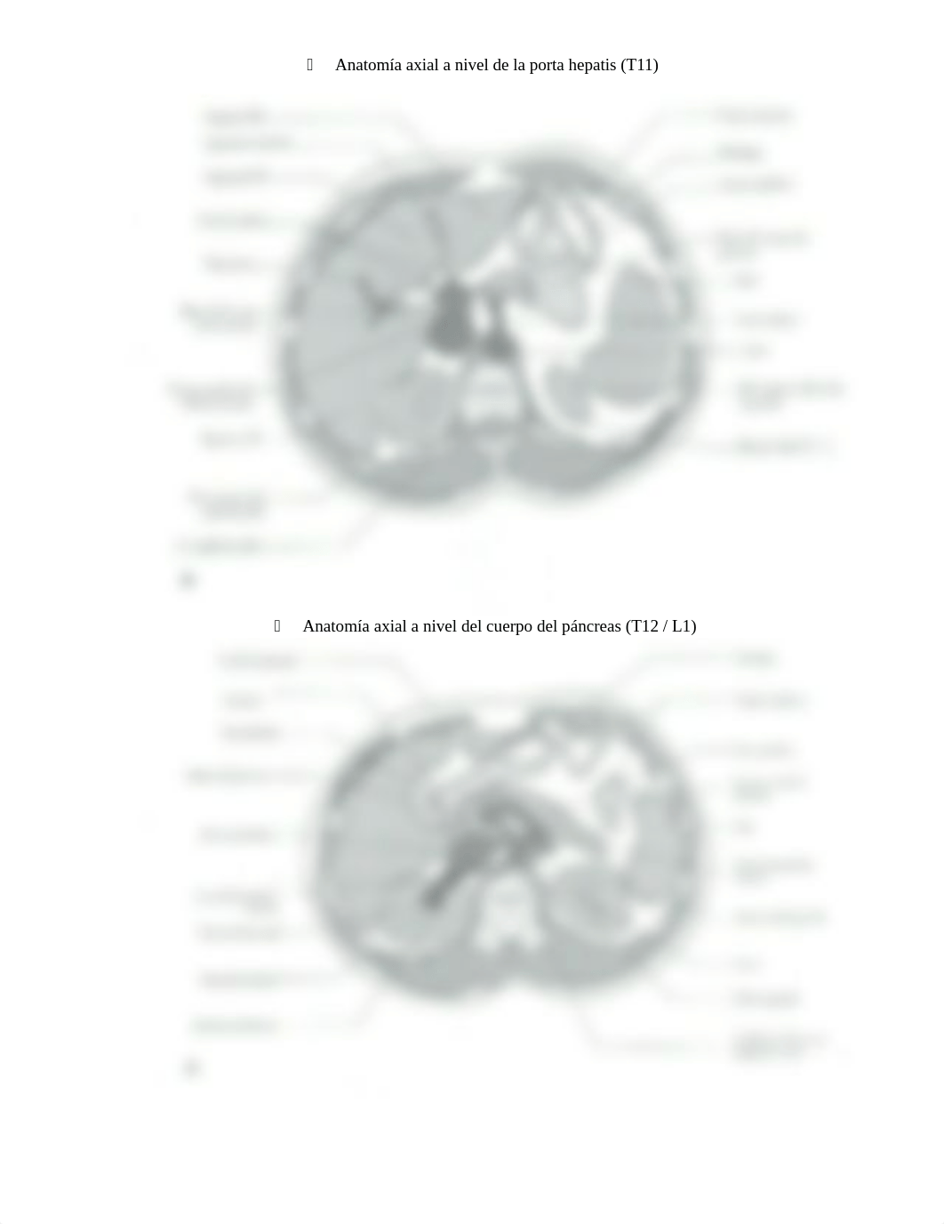IMAGENES PARA EXAMEN PARCIAL #4 (abdomen) Anatomia Seccional.docx_dq1eulb17fh_page2