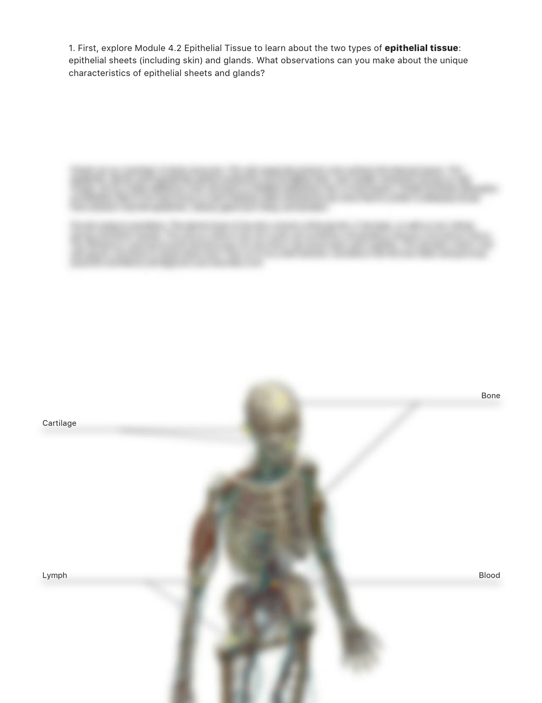 RB lab manual_tissues_a+p.pdf_dq1mvu78hj3_page5