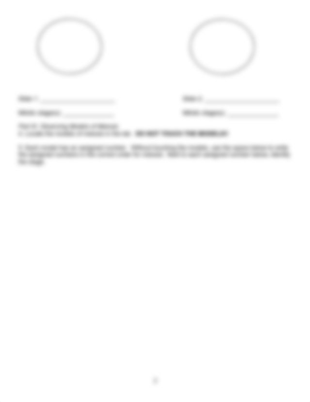 Wk 10 - Mitosis and Meiosis Lab_dq1nmnv2twz_page2