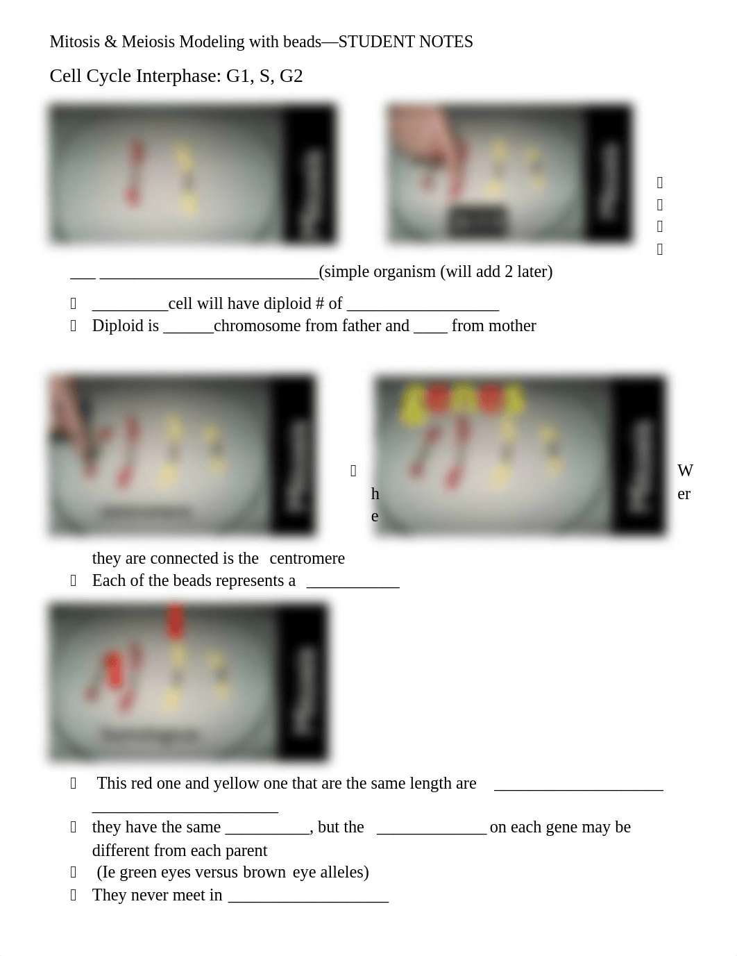 Mitosis & Meiosis Modeling student notes - Copy (2).docx_dq1swuri06t_page1