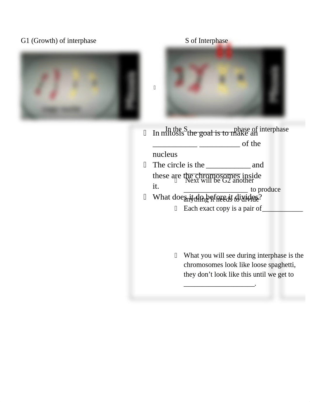 Mitosis & Meiosis Modeling student notes - Copy (2).docx_dq1swuri06t_page2