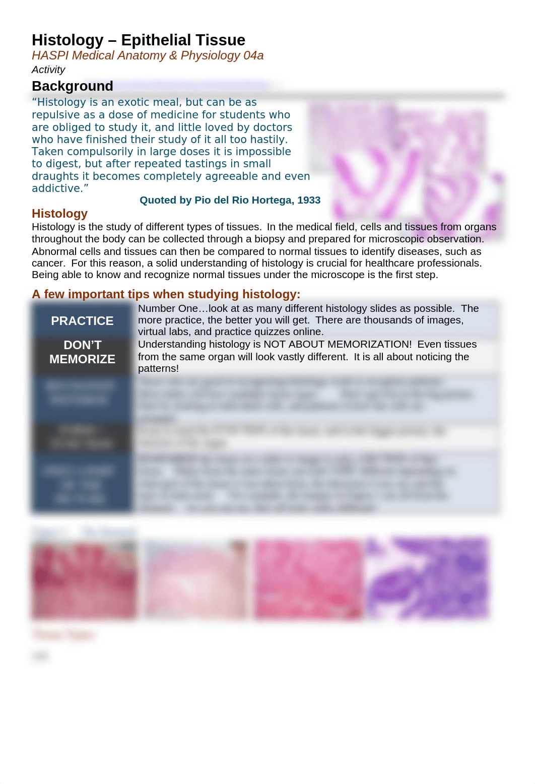 Epithelial Tissue.docx_dq26cgifumv_page1