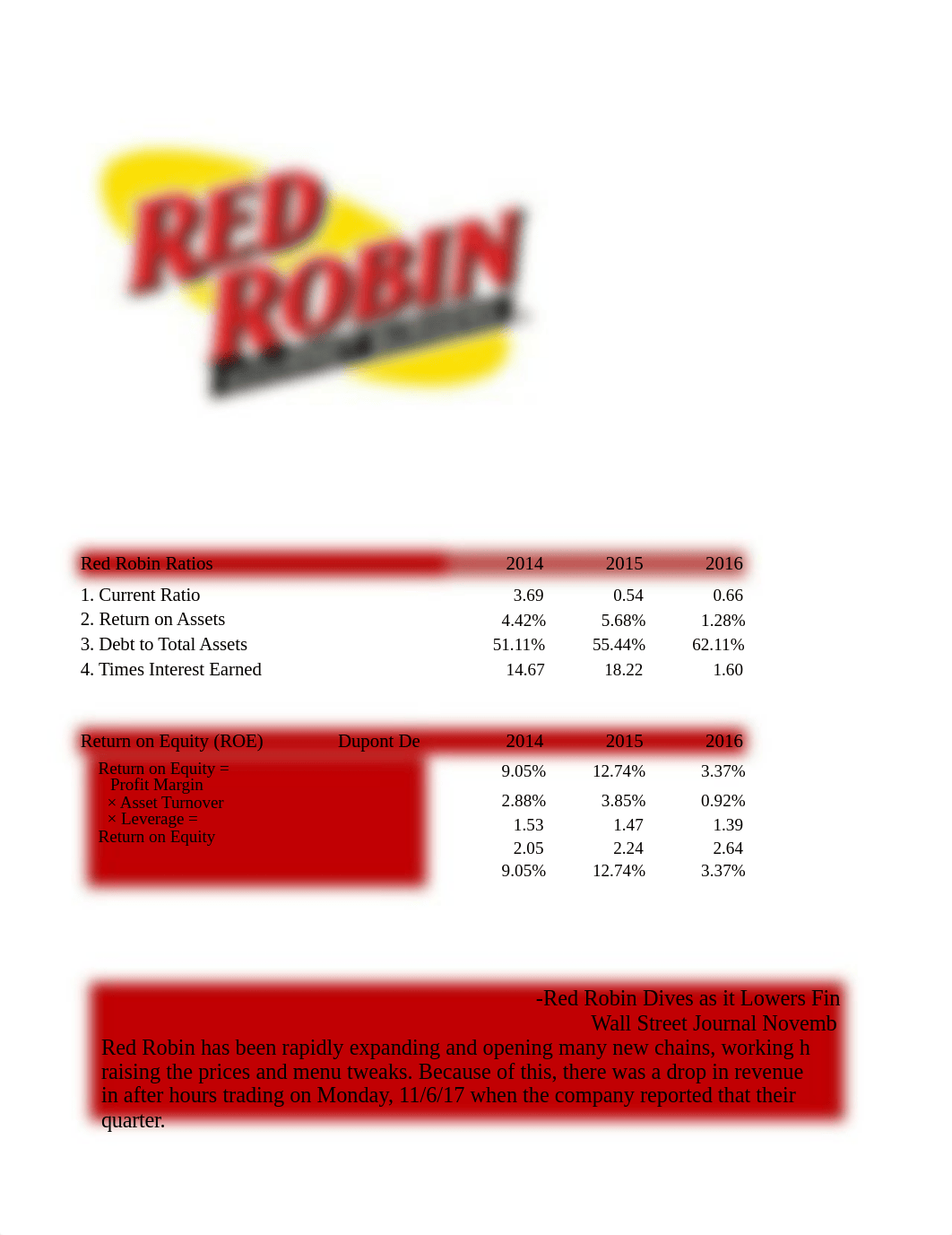 Red Robin Financial Ratio Project12.xlsx_dq2c6m0tvop_page1