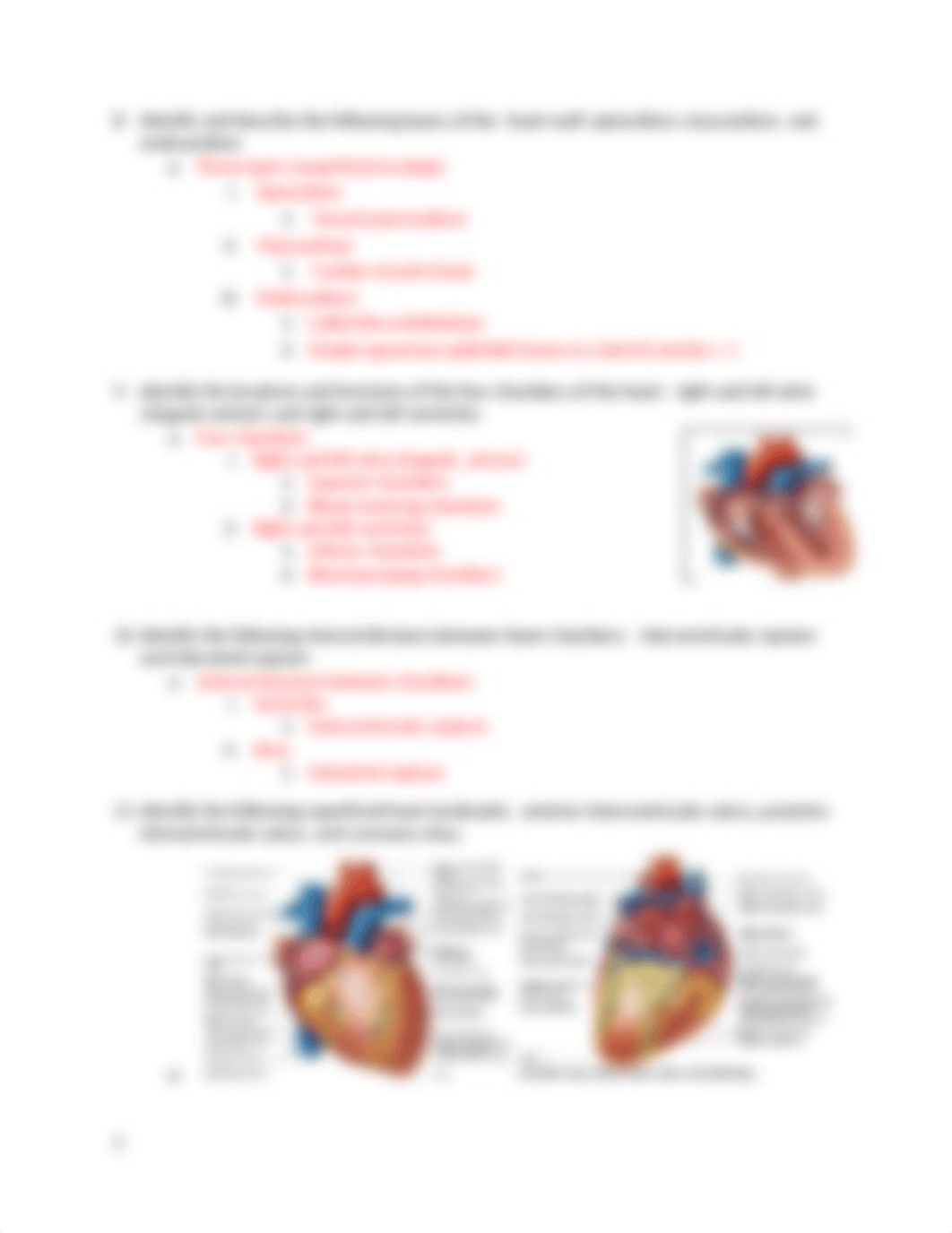 Anatomy Ch. 19.docx_dq2edbch97n_page3