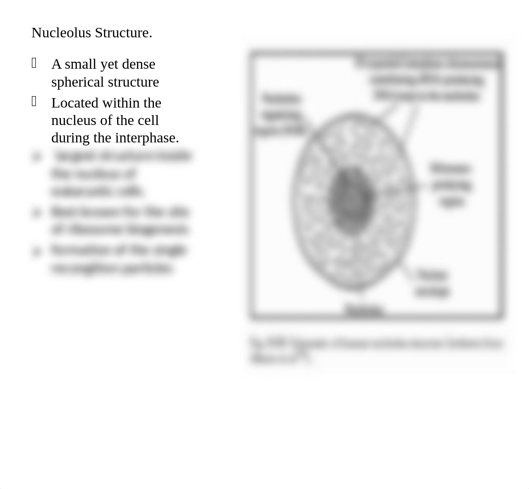 presentation. Module 2 Discussion Discuss and Debate.pptx_dq2hbs2oo33_page4