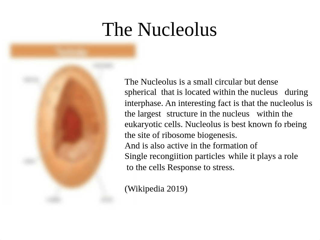 presentation. Module 2 Discussion Discuss and Debate.pptx_dq2hbs2oo33_page3