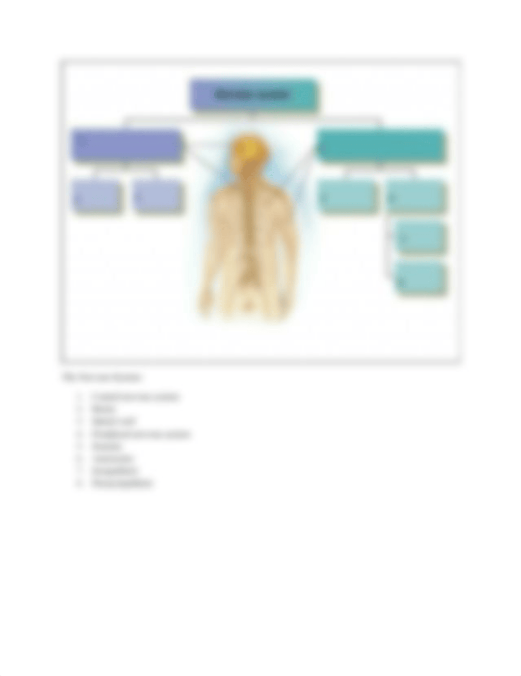 Unit 2 Assessment  Senses Worksheet.docx_dq2lfhvtvvq_page3