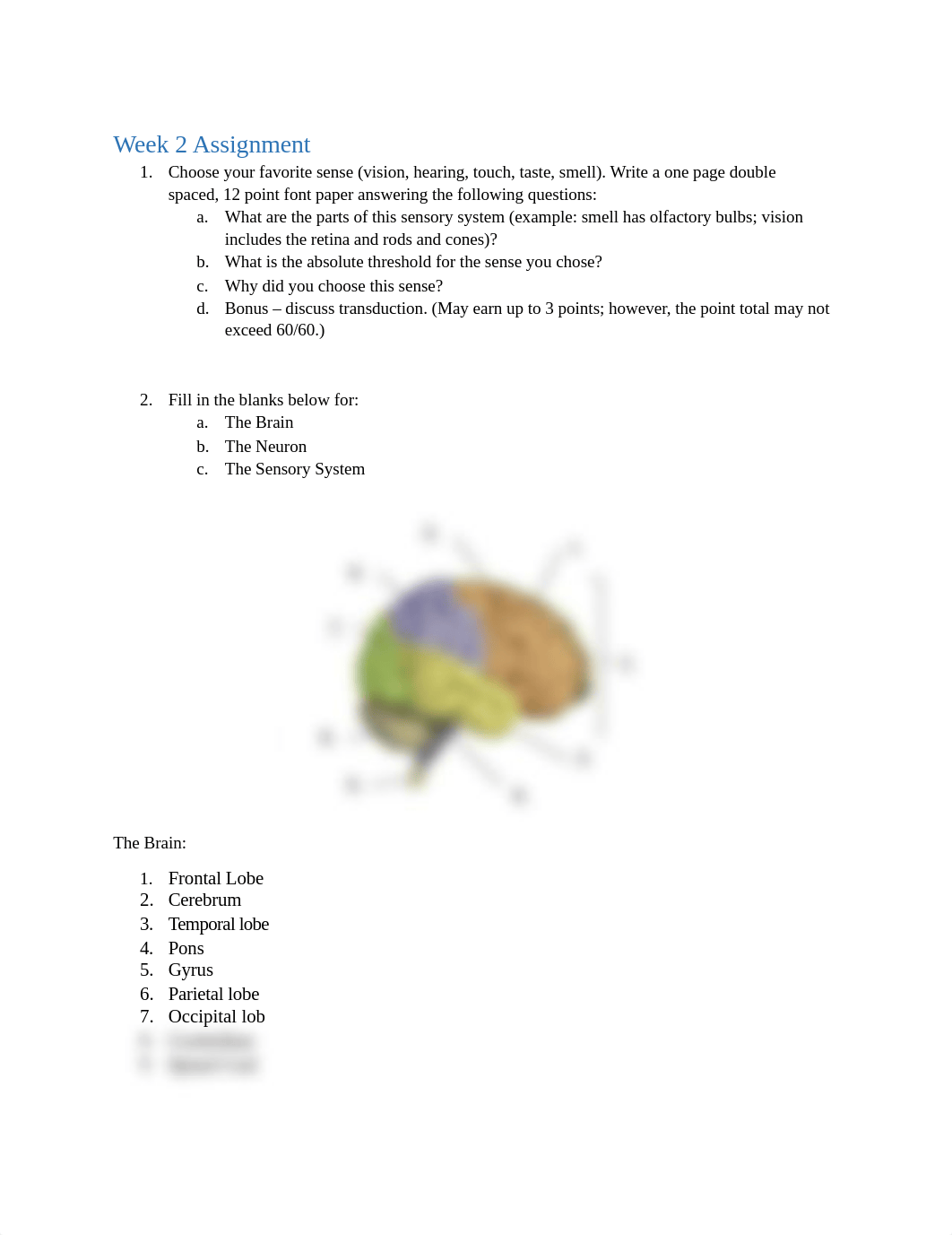 Unit 2 Assessment  Senses Worksheet.docx_dq2lfhvtvvq_page1