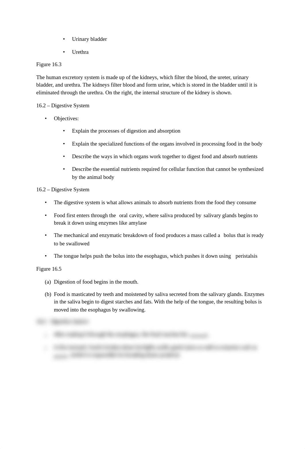 Bio 100 Crafton Chapter 16.docx_dq2p0xfk3e8_page2