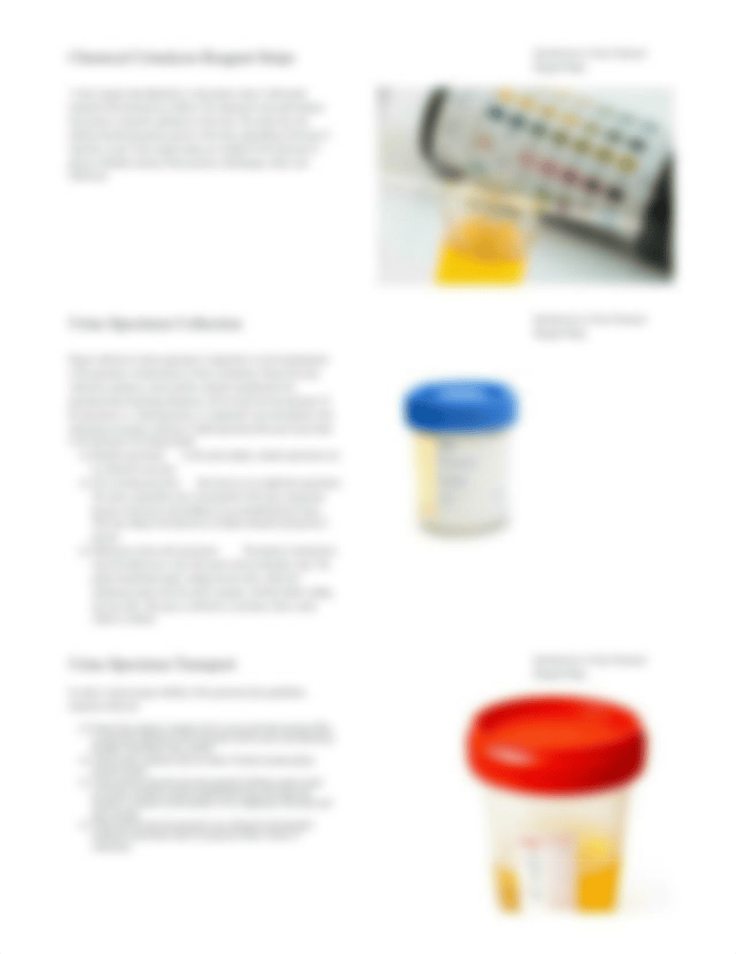 reagent strips.pdf_dq2sxnmc9d3_page5