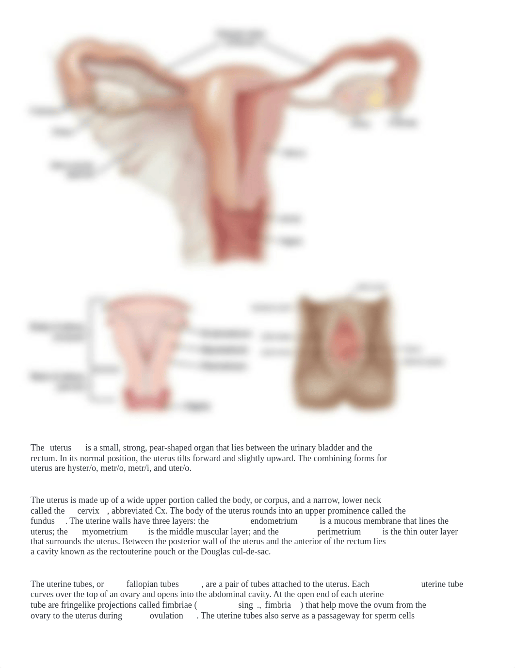 Chapter 8.docx_dq2y7xwelk4_page2