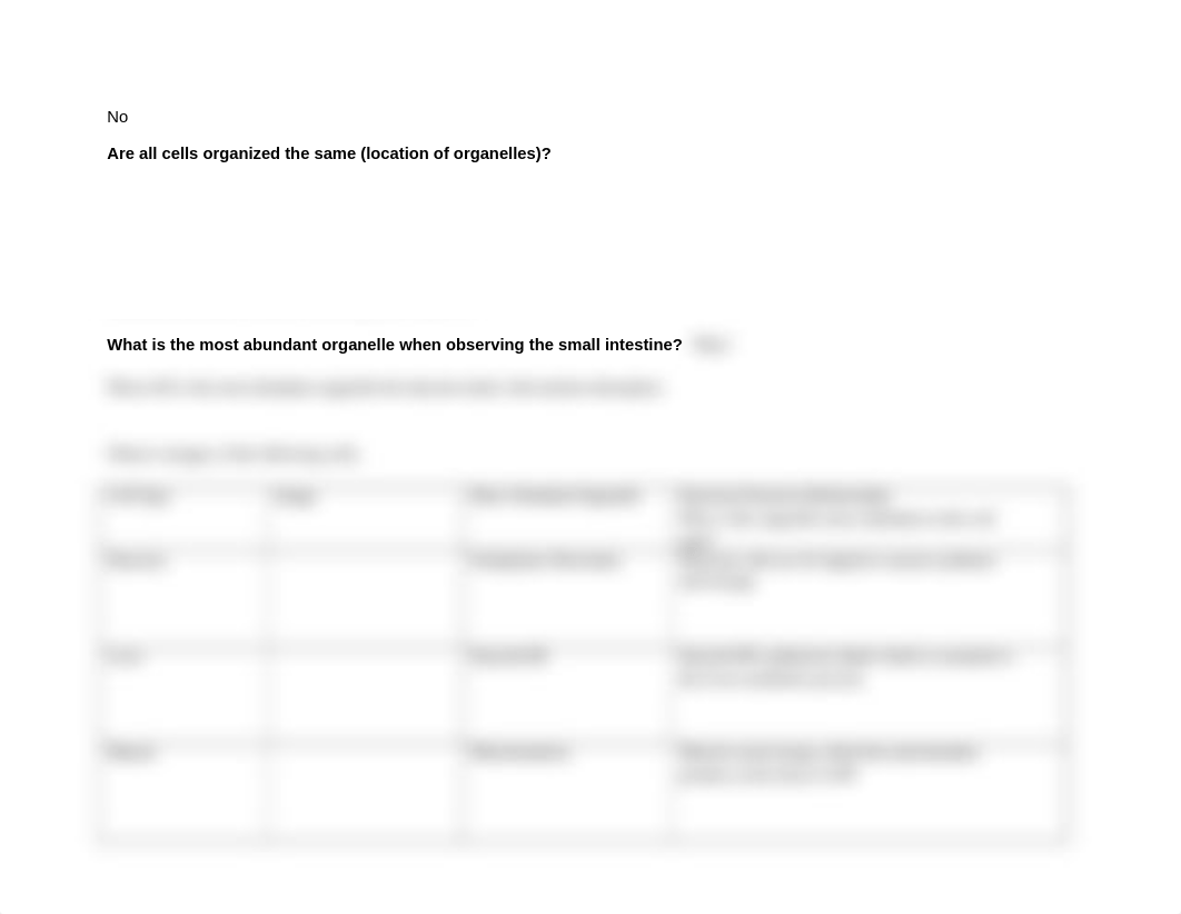 Microscopy Image Table.docx_dq31zt4rtcb_page4