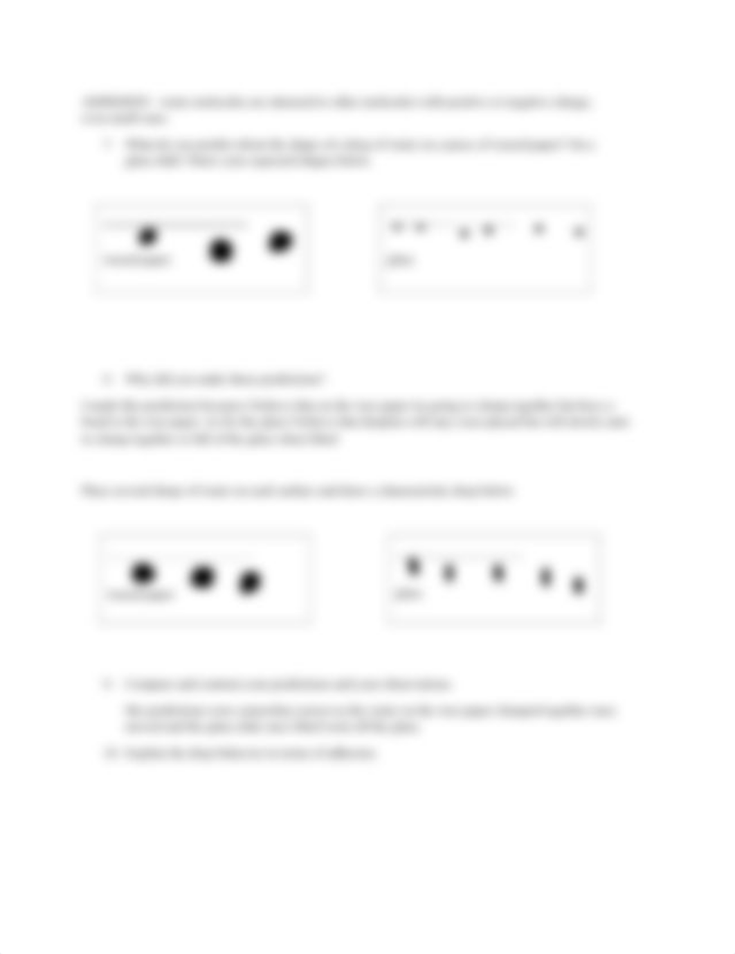 Properties of Water Lab.docx_dq33sa4moy5_page3