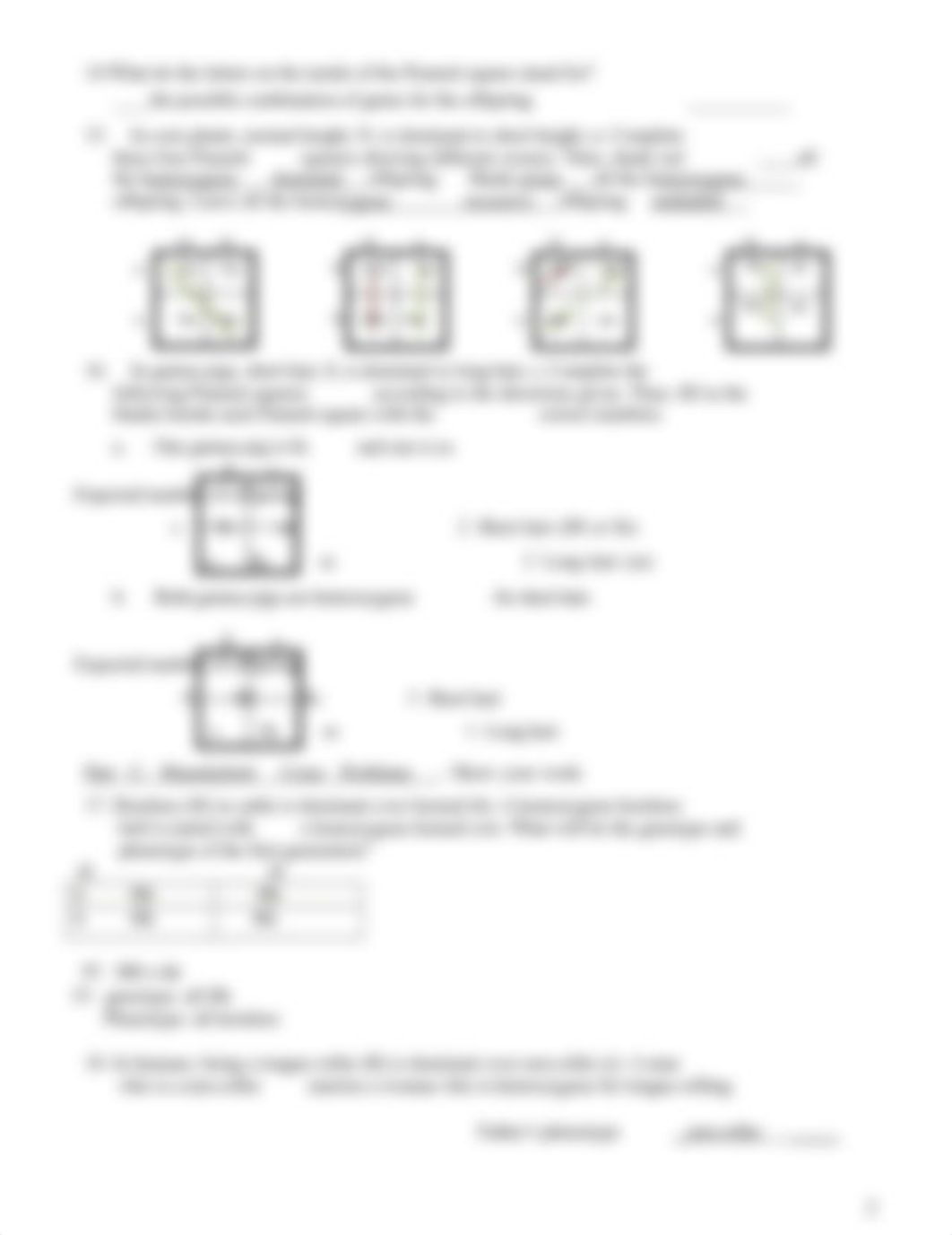 Monohybrid Cross Worksheet.docx_dq35quy1jgp_page2