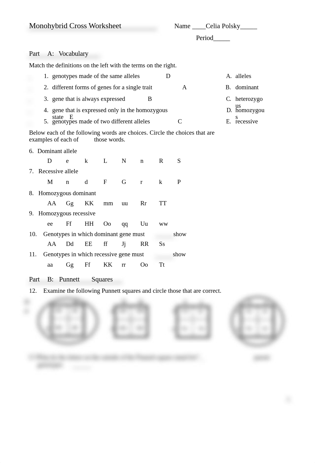 Monohybrid Cross Worksheet.docx_dq35quy1jgp_page1