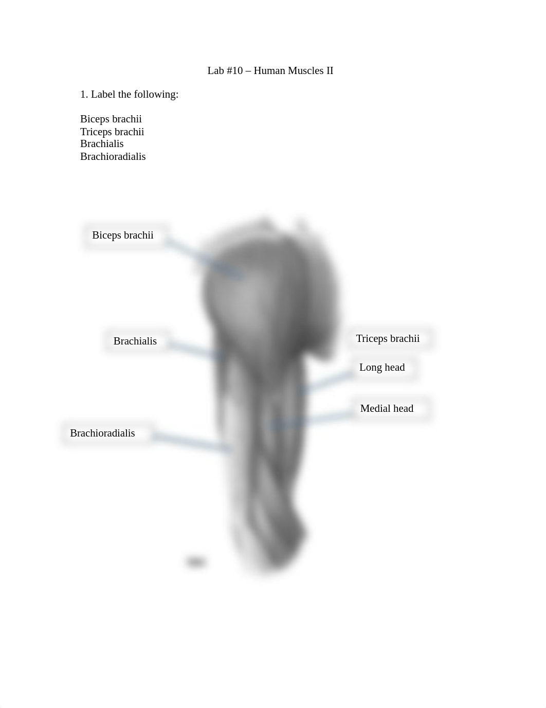 Lab 10 Lab Report.docx_dq360h2jm6g_page1