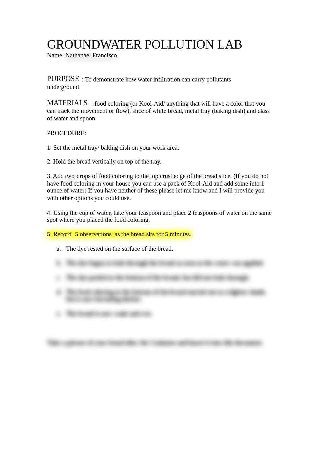 Ground water pollution simulation lab Nathanael Francisco.doc_dq39a4zuif9_page1