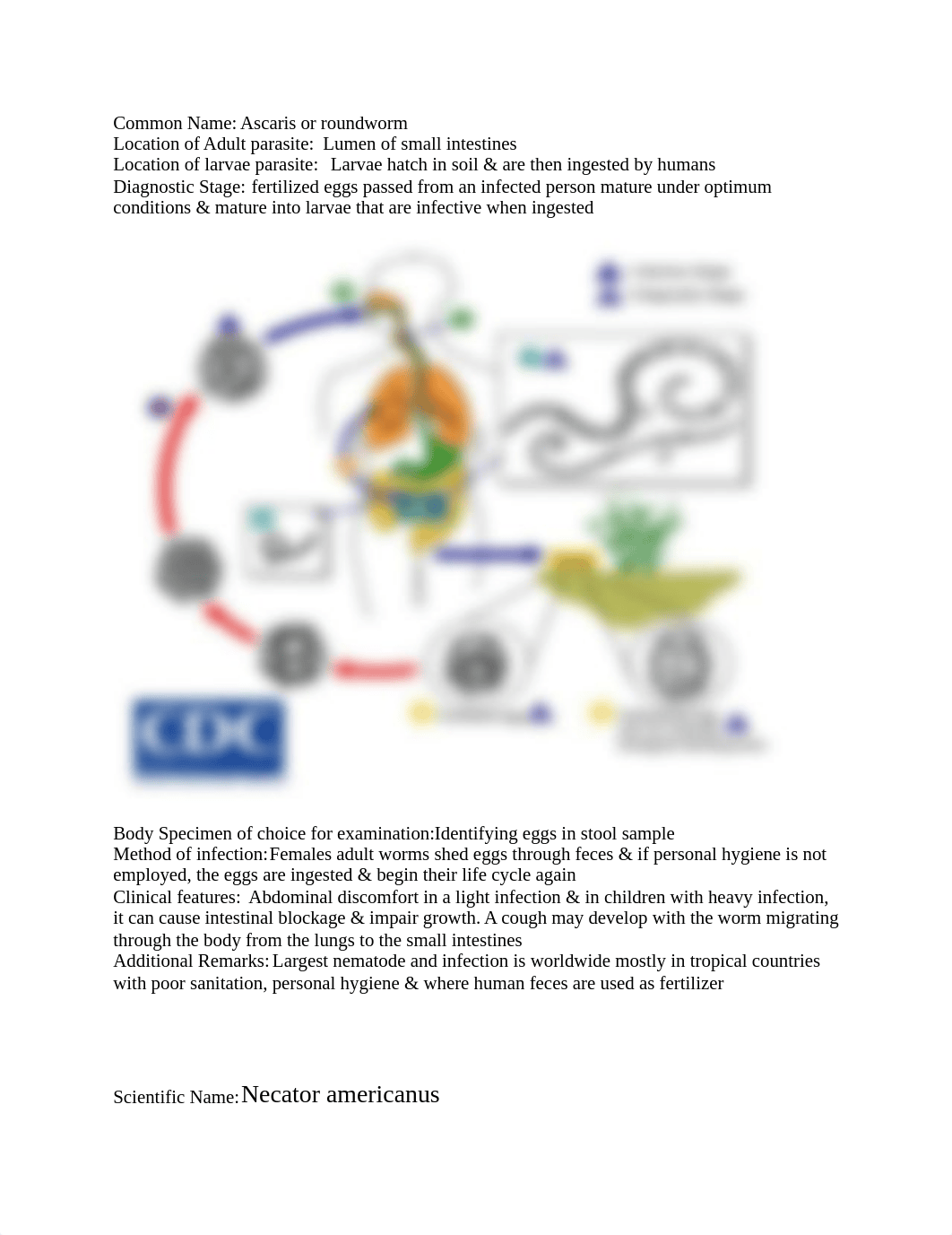 Graphic Organizer.doc_dq3duzutbd7_page3