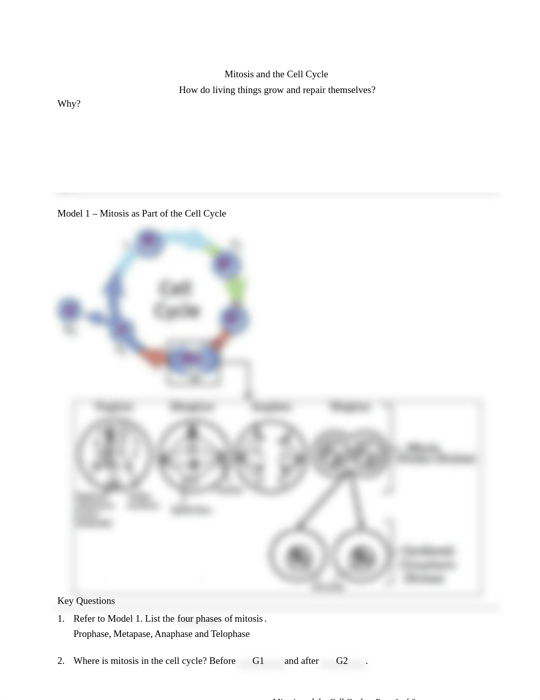 Mitosis.docx_dq3enc0b6k9_page1