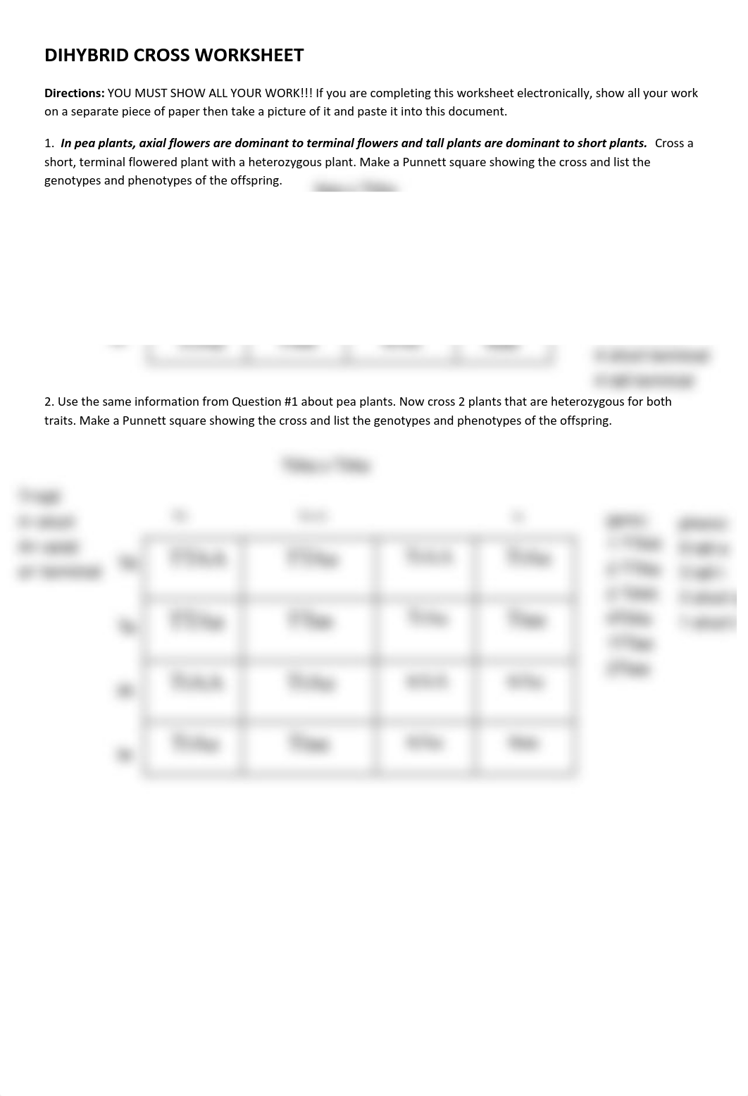 GABRIELLE ZOLNIERCZYK - DIHYBRID CROSS WORKSHEET (2).pdf_dq3hrr0cpze_page1