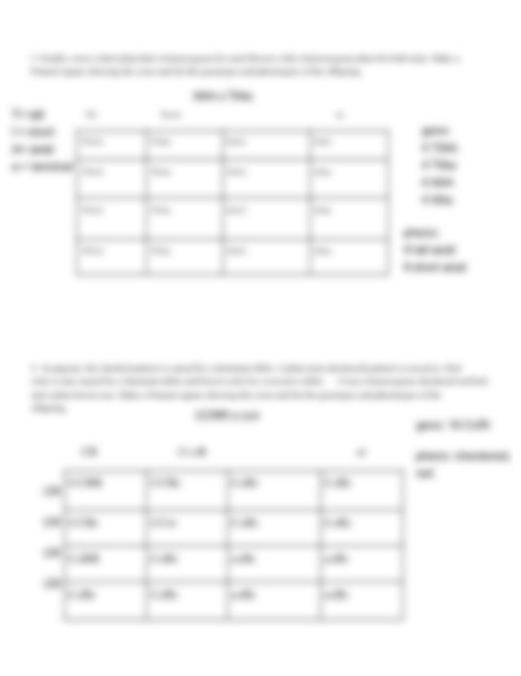 GABRIELLE ZOLNIERCZYK - DIHYBRID CROSS WORKSHEET (2).pdf_dq3hrr0cpze_page2