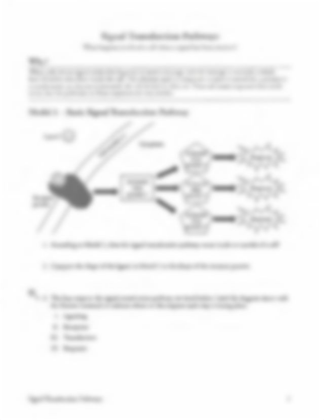 Signal Transduction Assignment.pdf_dq3k3uc86qb_page1