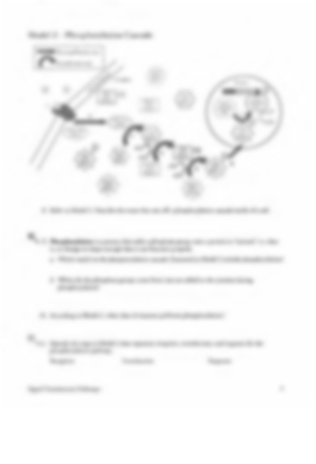 Signal Transduction Assignment.pdf_dq3k3uc86qb_page3