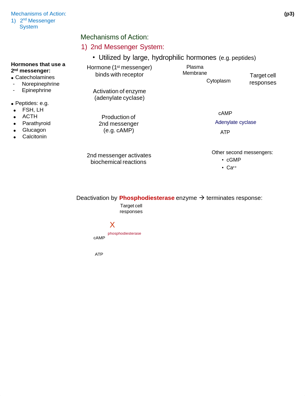 Ch17 Endocrinology (Worksheet Sp19).pdf_dq3kuqtbo58_page3