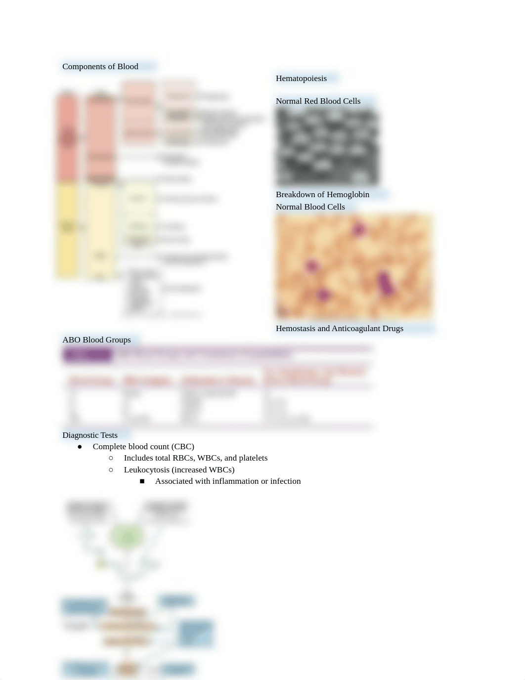 exam 3 patho.docx_dq4334nb1qa_page2