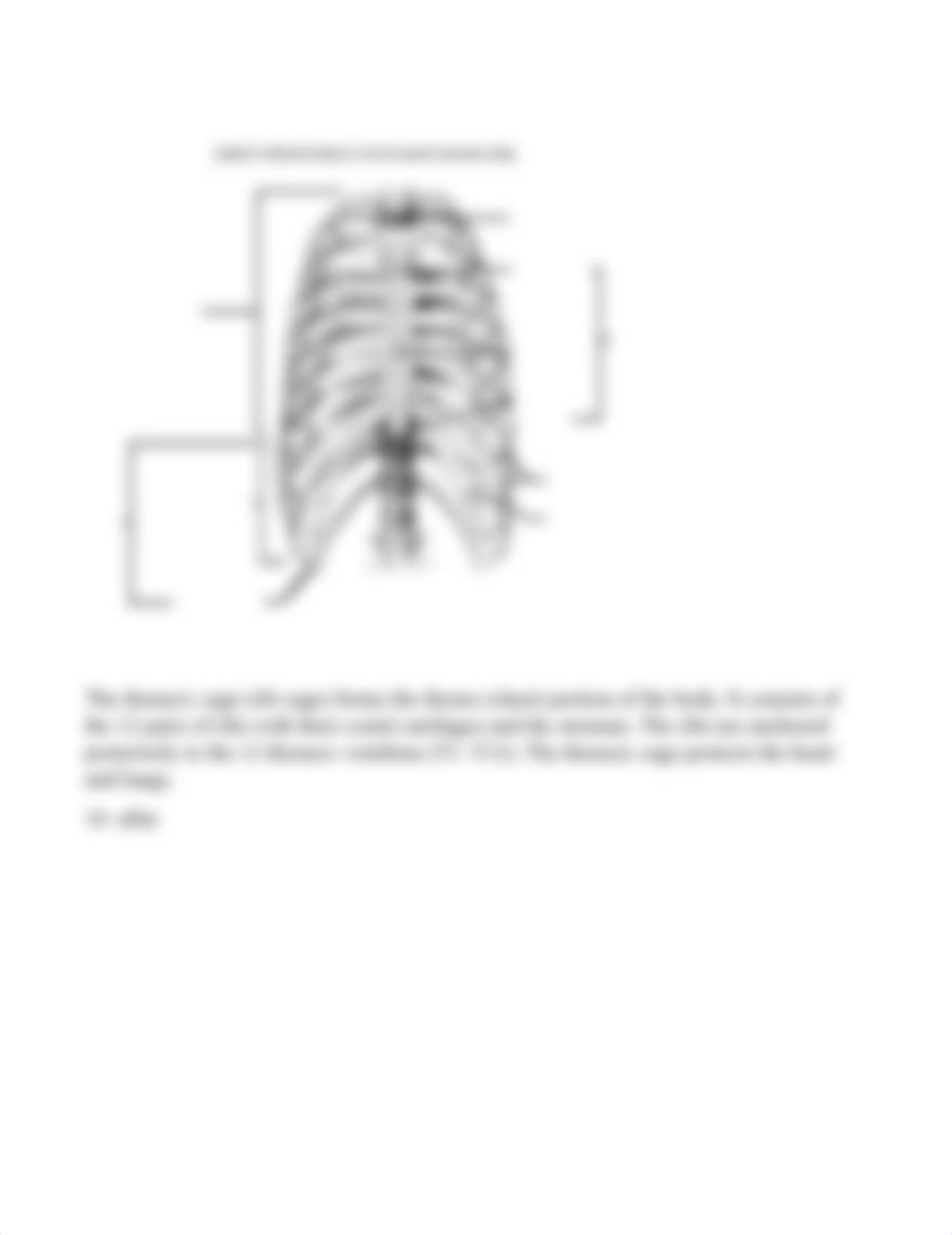 BIOL 1160 Skeletal System Worksheet.docx_dq4dnnm0691_page4