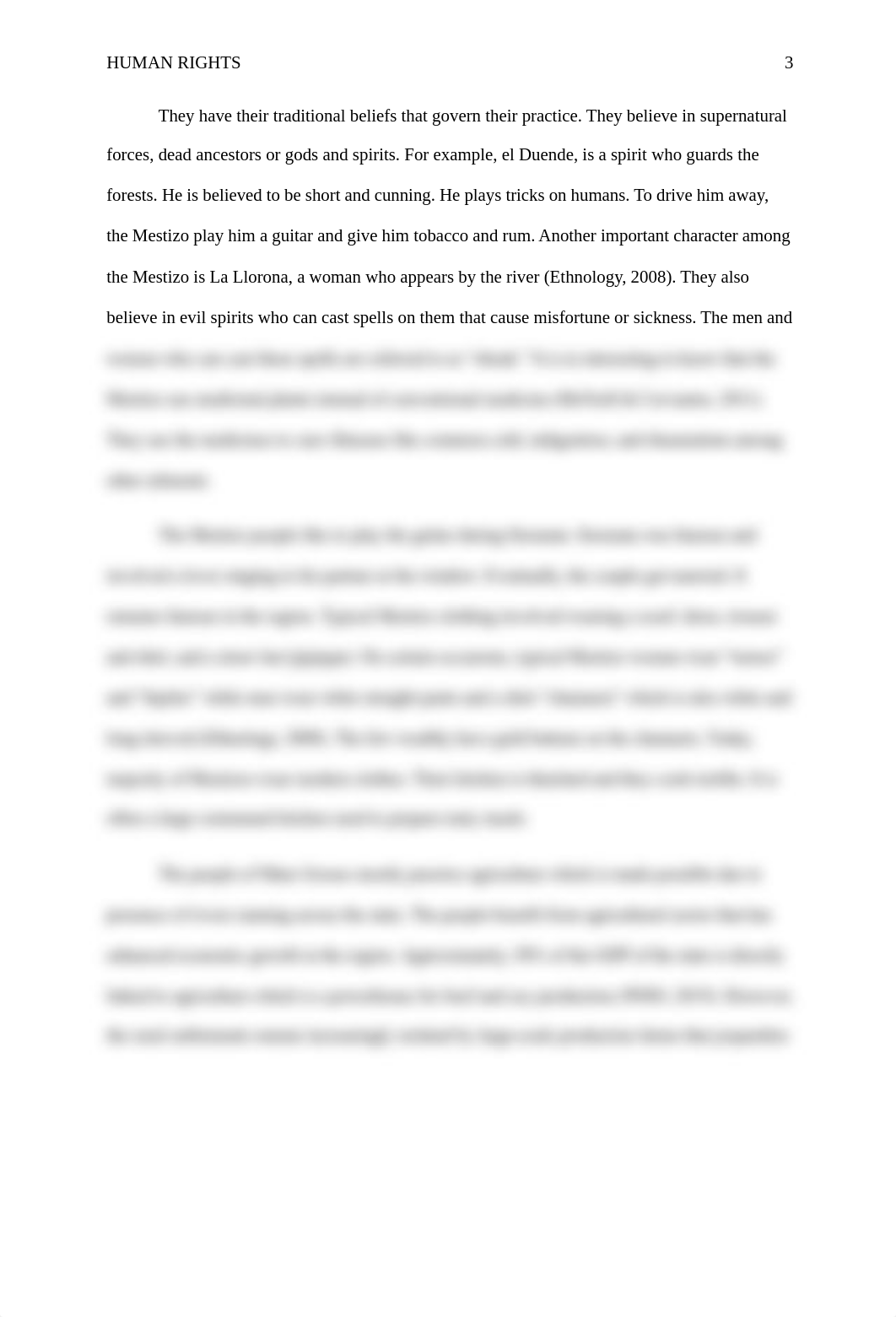 Final Human Rights Reflection.docx_dq4j2ivt6n7_page3