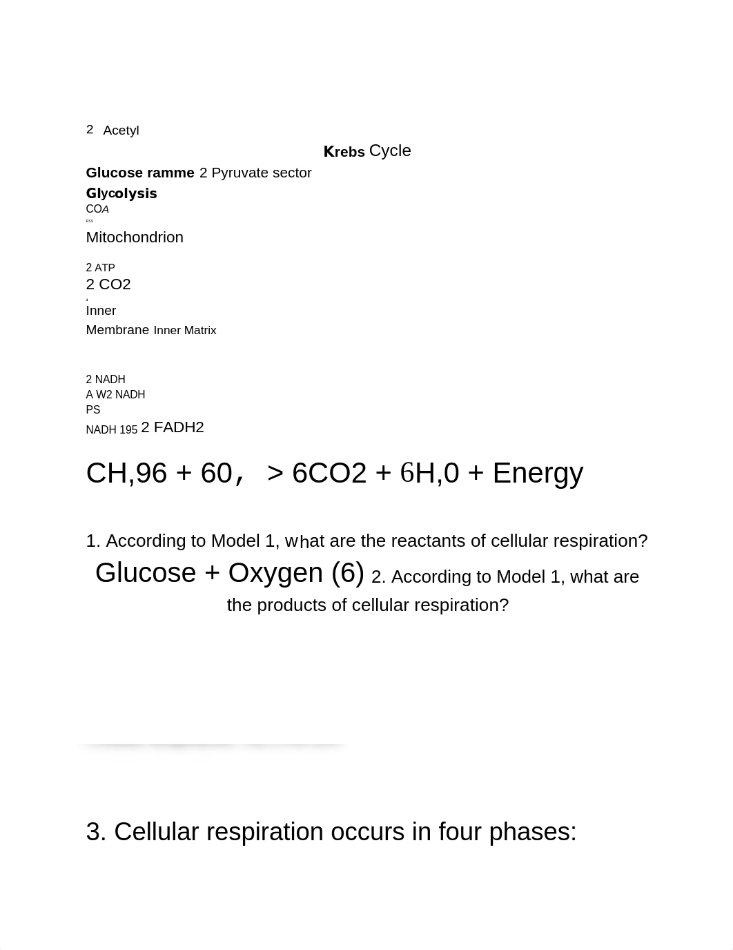 POGIL Cellular Respiration Overview KEY.PDF_dq4uwhmt5u1_page2