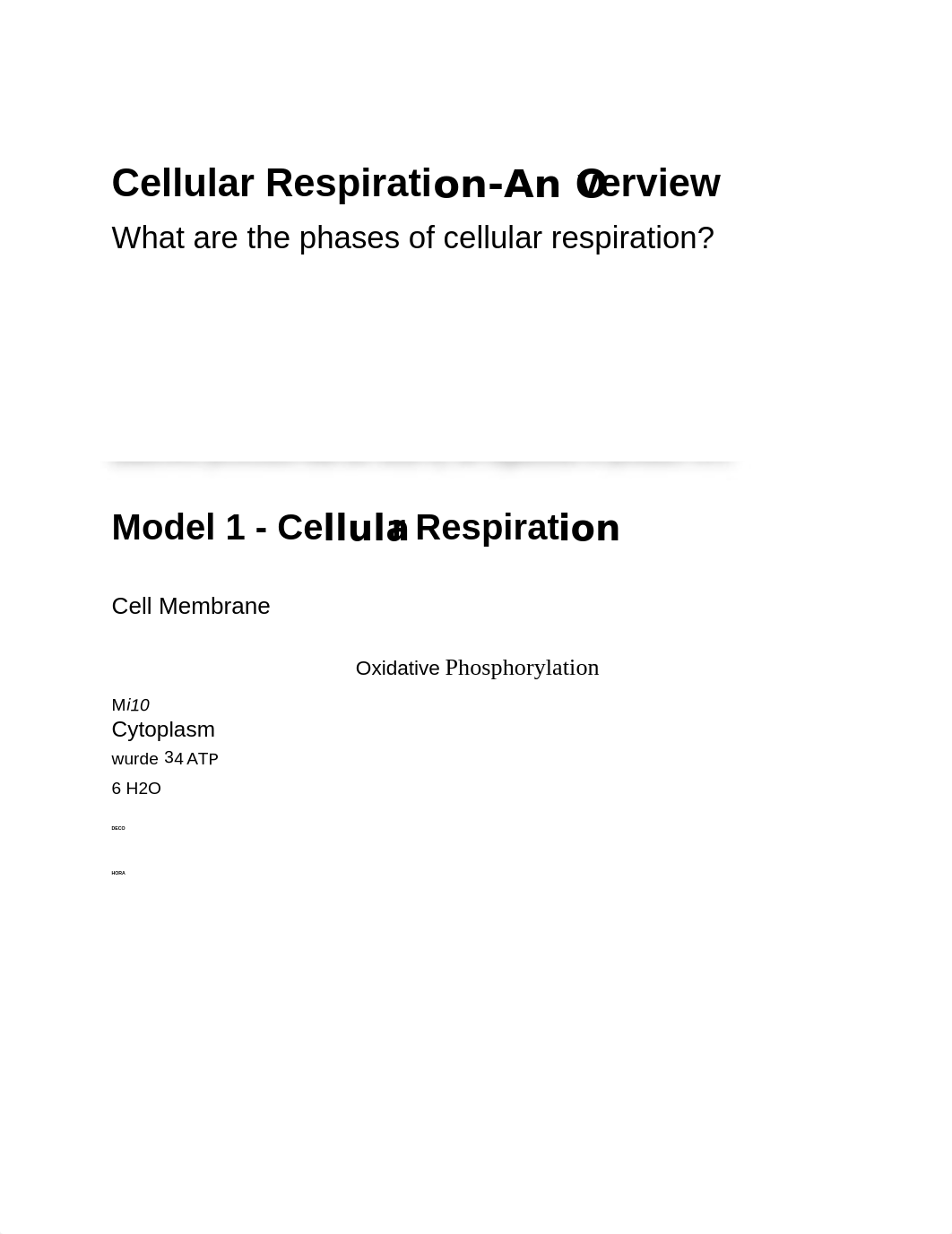 POGIL Cellular Respiration Overview KEY.PDF_dq4uwhmt5u1_page1