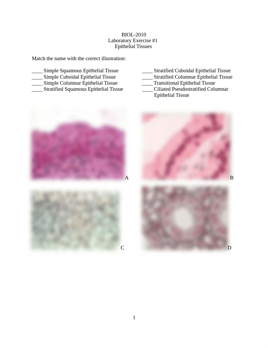 BIOL-2010 Lab Exercise 1 - Epithelia.docx_dq4wmhp3520_page1