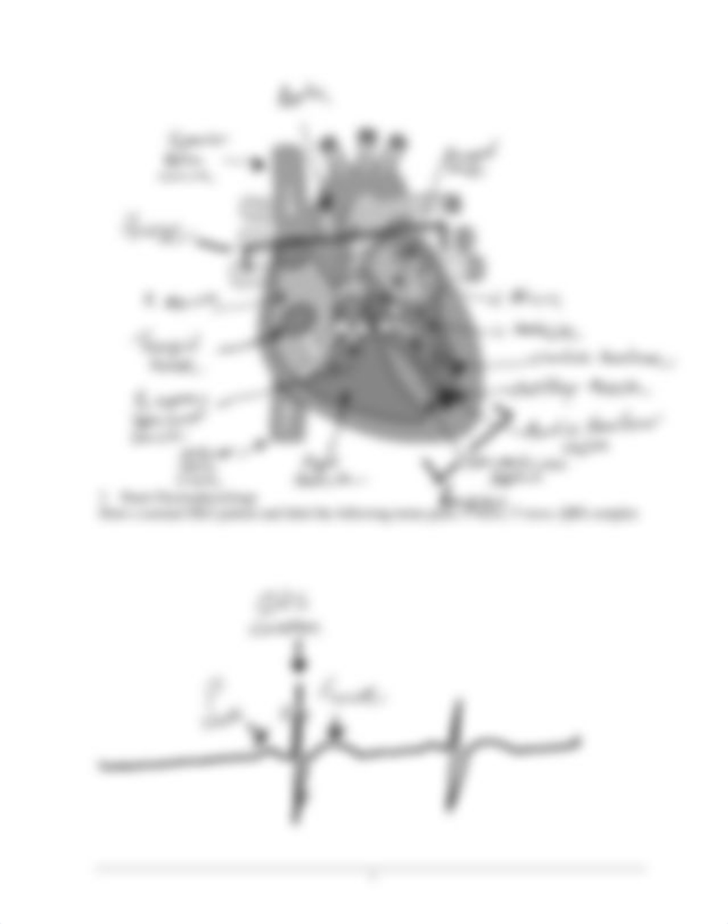 Heart Prelab Completed.pdf_dq5aaijkyqz_page3