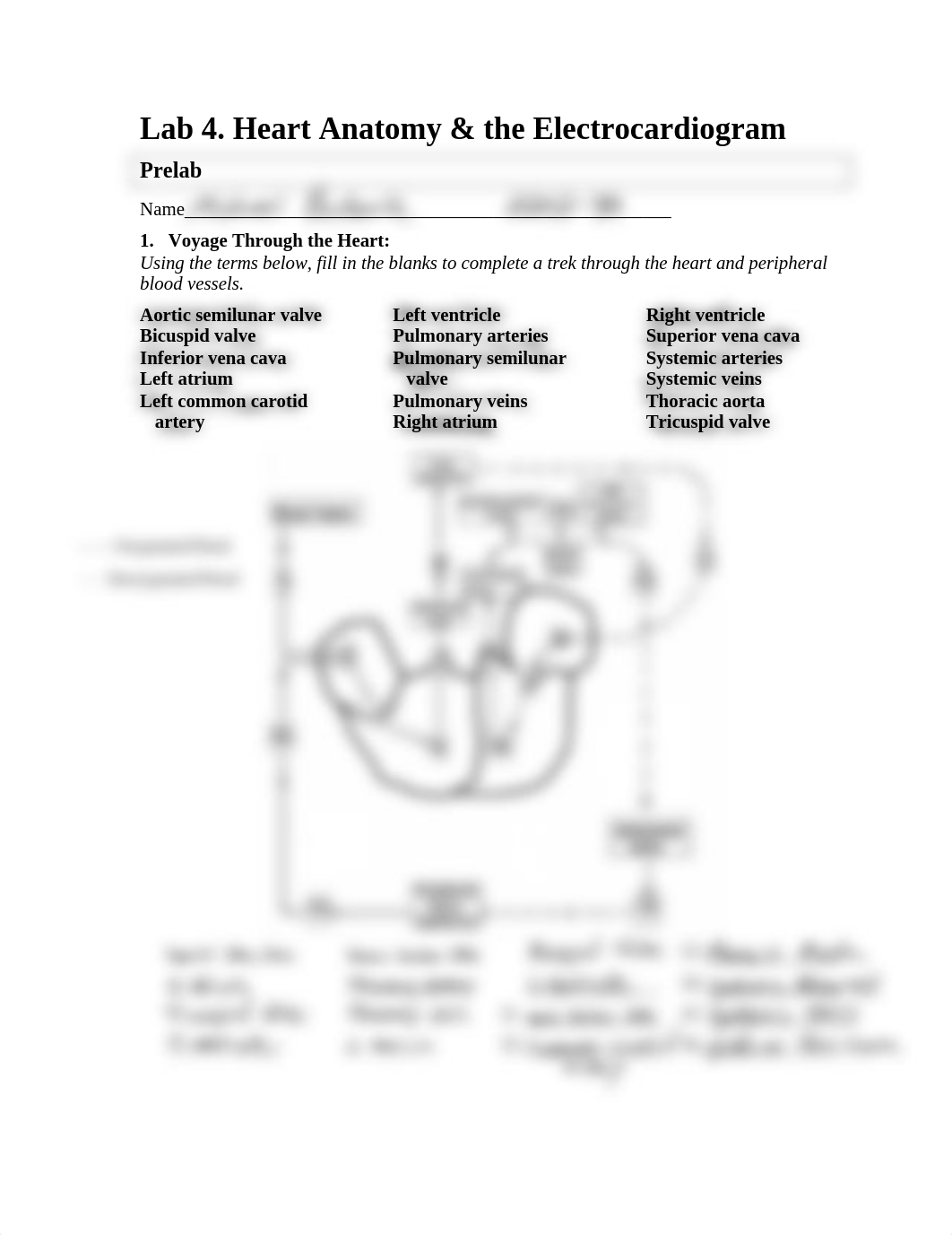 Heart Prelab Completed.pdf_dq5aaijkyqz_page1