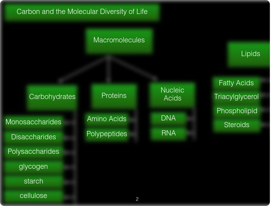 L3 Carbon and the Molecular Diversity of Life.pdf_dq5d69596dl_page3